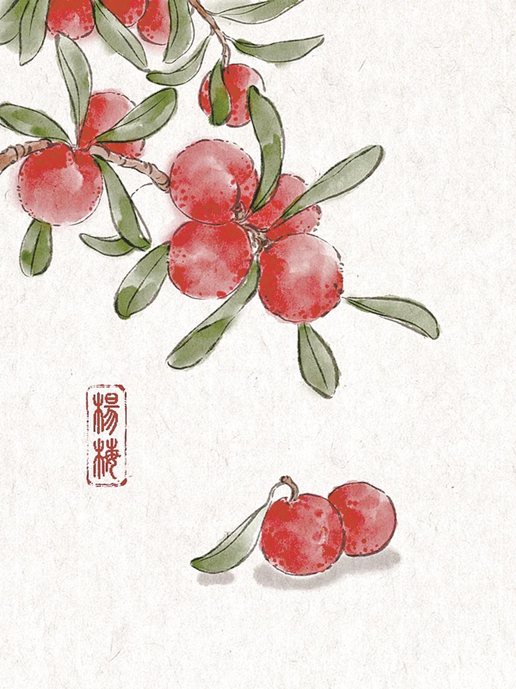 梅子熟了
